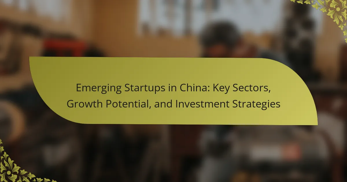 Emerging Startups in China: Key Sectors, Growth Potential, and Investment Strategies