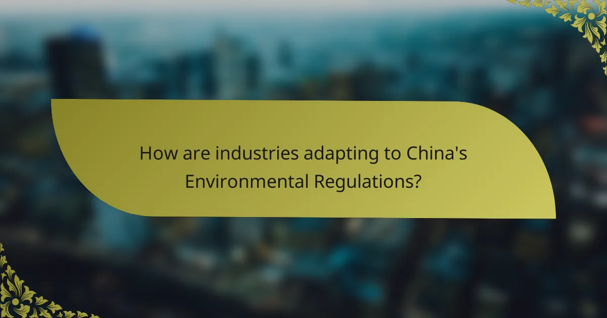 How are industries adapting to China's Environmental Regulations?