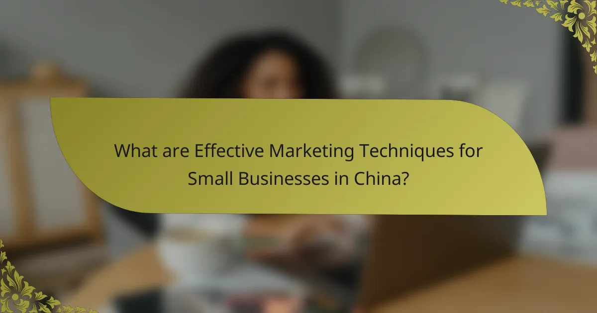 What are Effective Marketing Techniques for Small Businesses in China?