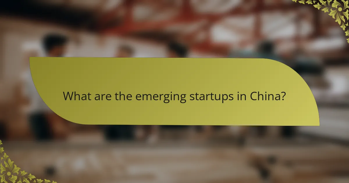 What are the emerging startups in China?