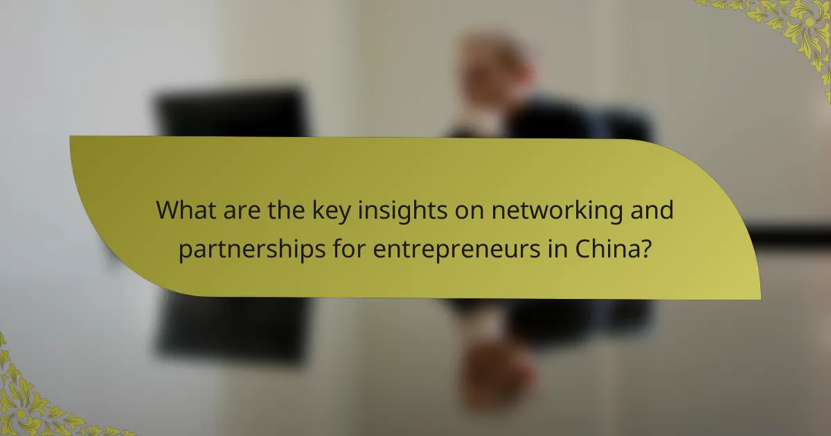 What are the key insights on networking and partnerships for entrepreneurs in China?