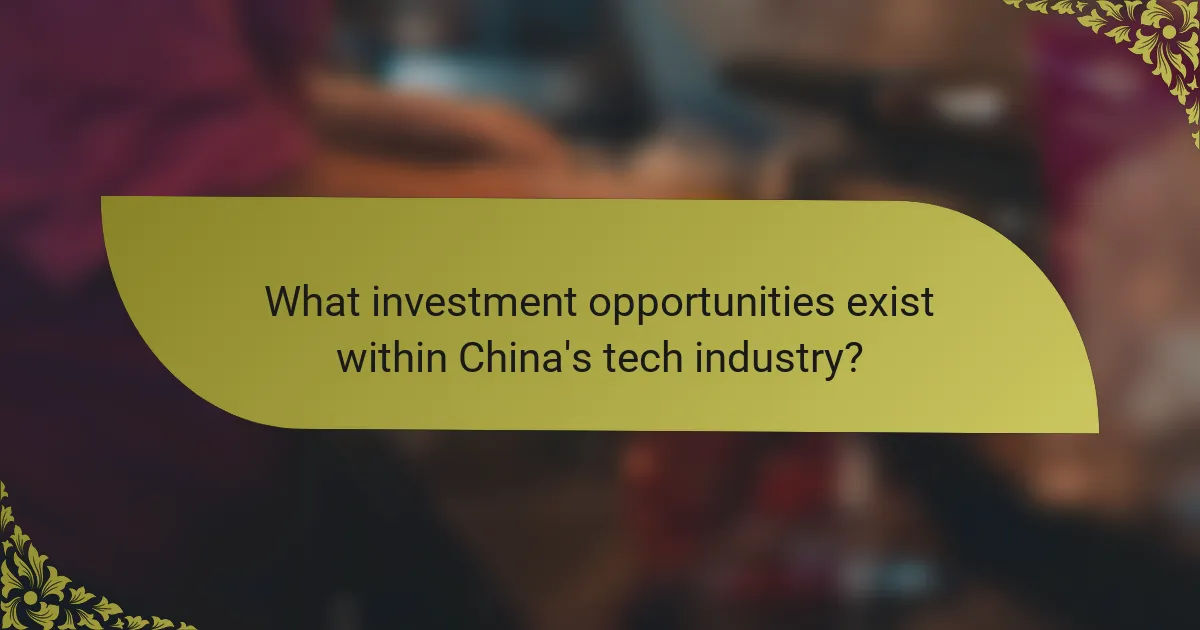 What investment opportunities exist within China's tech industry?