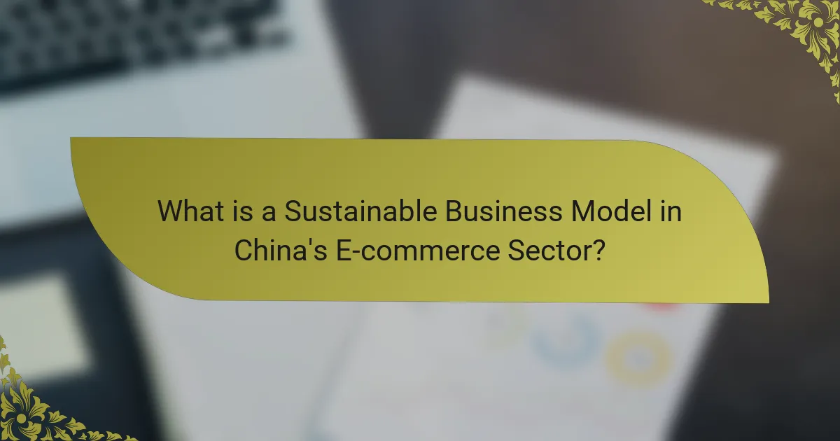 What is a Sustainable Business Model in China's E-commerce Sector?