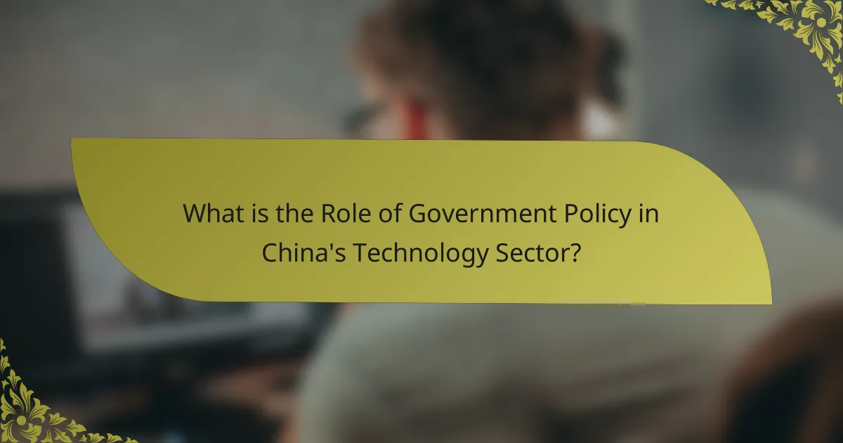 What is the Role of Government Policy in China's Technology Sector?