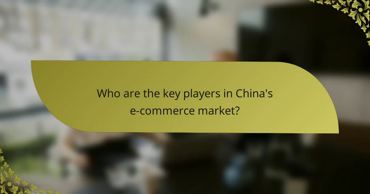 Who are the key players in China's e-commerce market?