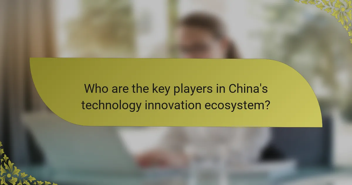 Who are the key players in China's technology innovation ecosystem?